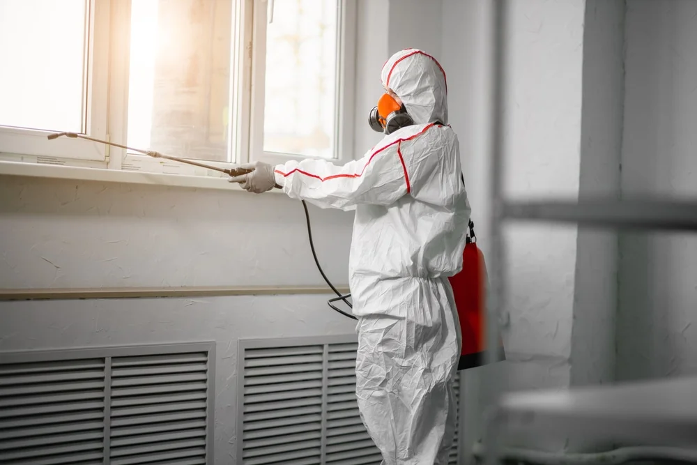 Professional mold remediation services in Trenton, UT